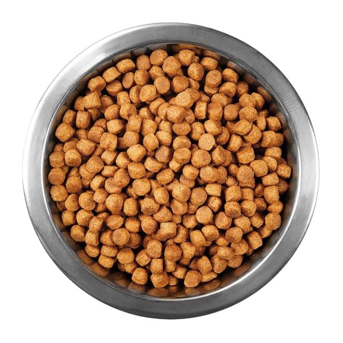 Pro Plan Kısırlaştırılmış Hindili Açık Kedi Maması 1 Kg