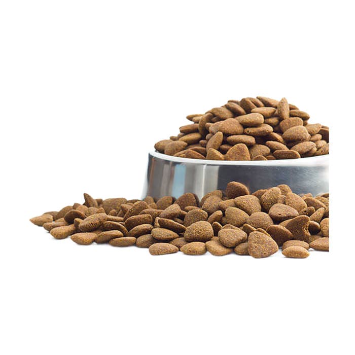 Royal Canin Açık Yavru Köpek Maması