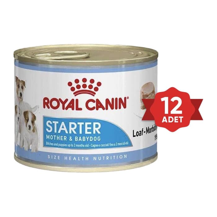 Royal Canin Starter Mousse Anne ve Yavruları İçin Köpek Konservesi 12x195 Gr