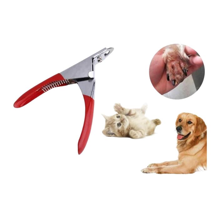 Kedi Köpek Giyotin Tırnak Makası