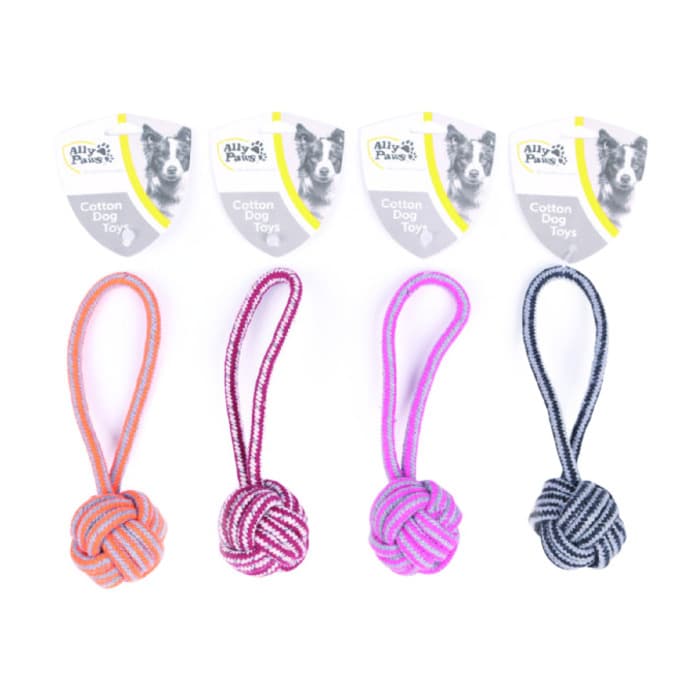 ALLY PAWS KÖPEKLER İÇİN DİŞ İPİ 20CM