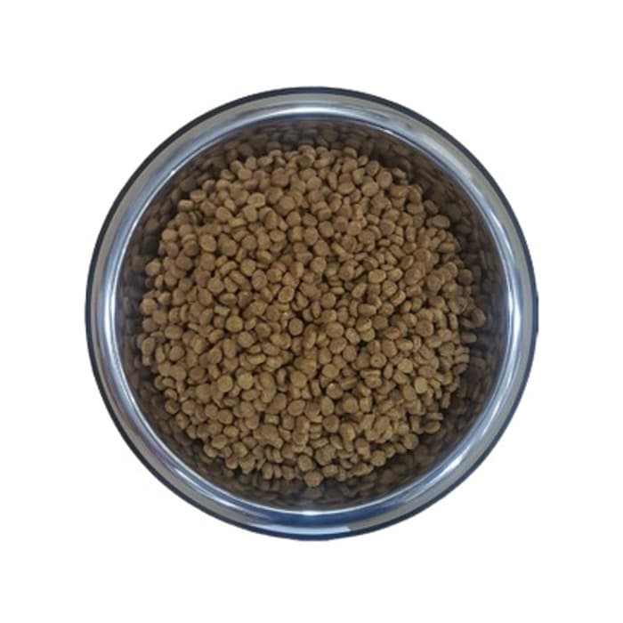 King Balık Kedi Açık