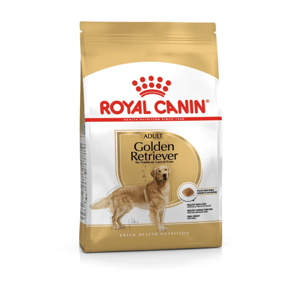 Royal Canin Golden Retriever Adult Yetişkin Köpek Maması
