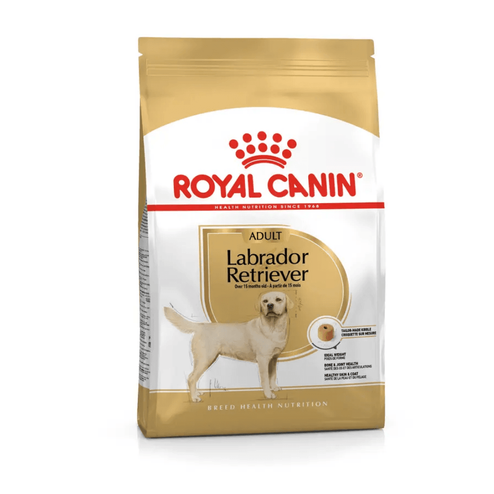 Royal Canin Labrador Retriever Adult Yetişkin Köpek Maması
