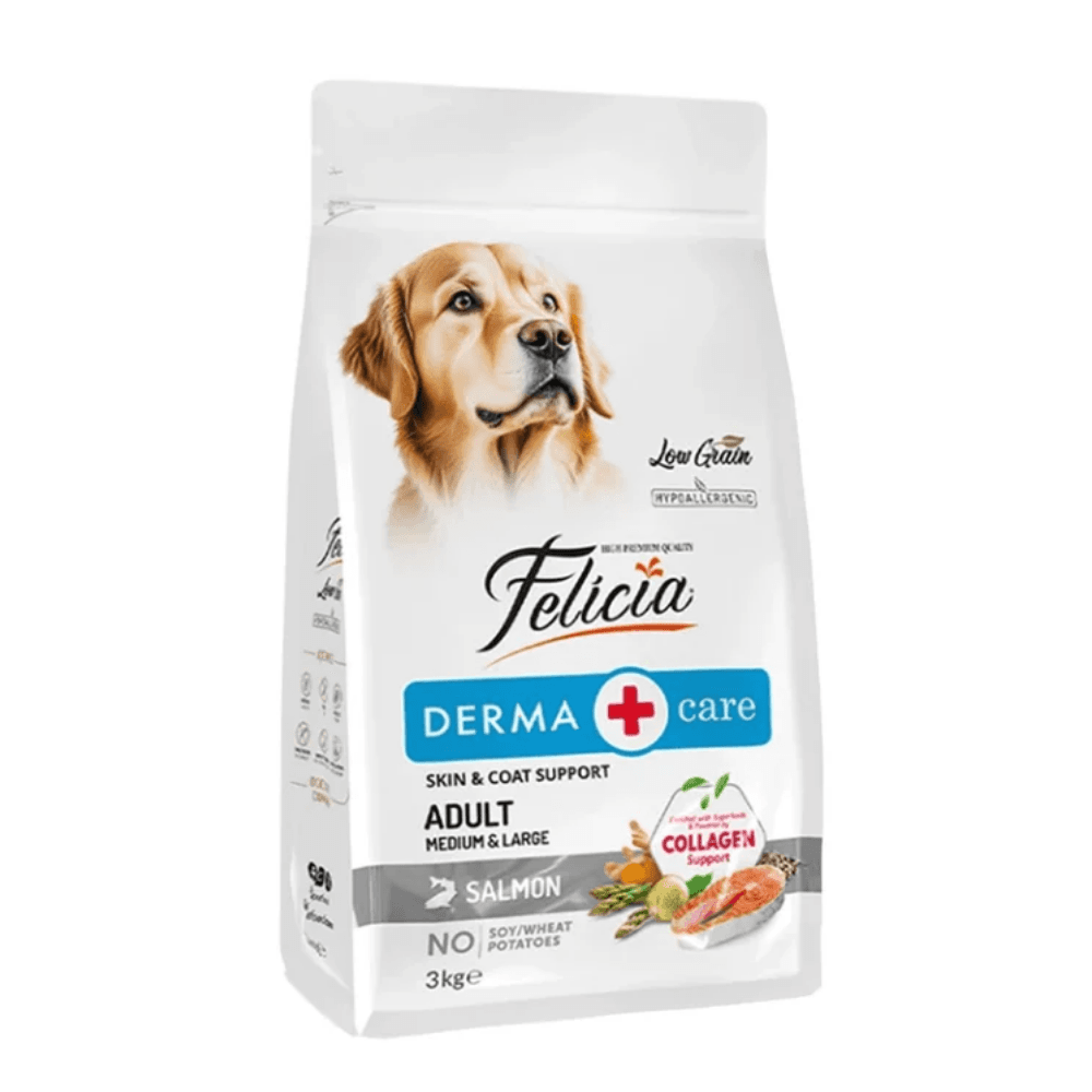Felicia Derma Care Orta ve Büyük Irk Yetişkin Köpek Maması Somonlu