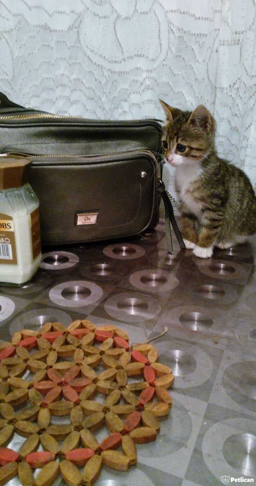 Güzel Kızımıza Yuva Arıyoruz