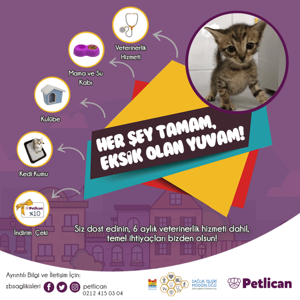 Her Şey Tamam, Eksik Olan Yuvam!
