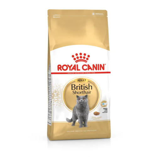 Royal Canin British Shorthair Adult Yetişkin Kedi Maması