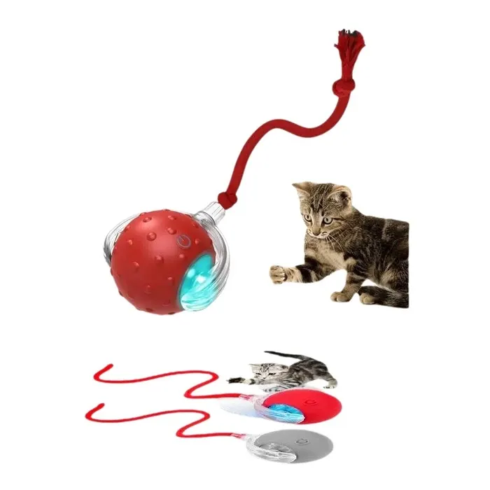 Chat Hareketli Kedi Oyuncak