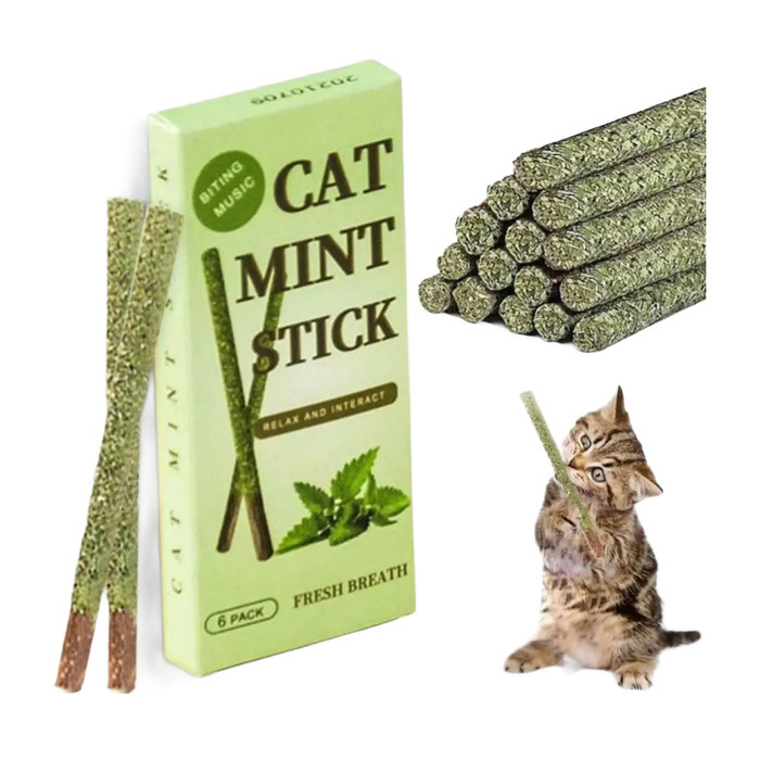 Matatabi Çubuğu Catnip Kedi Catnip Dalı Cat Mint Stick Kedi Oyun Çıtası 6'li