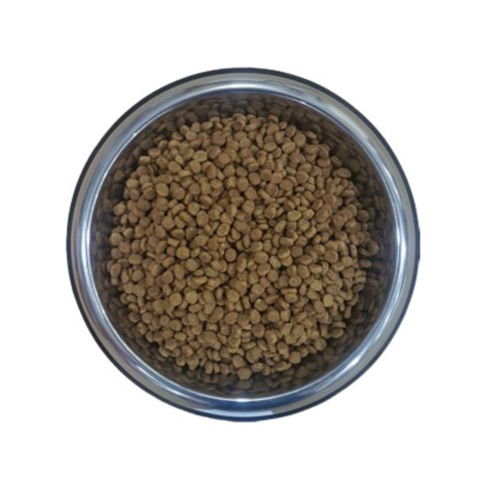 King Balık Kedi Açık