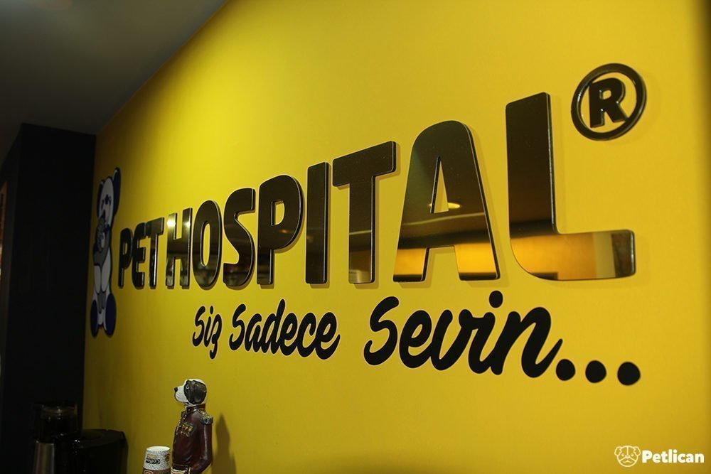 PET Hospital