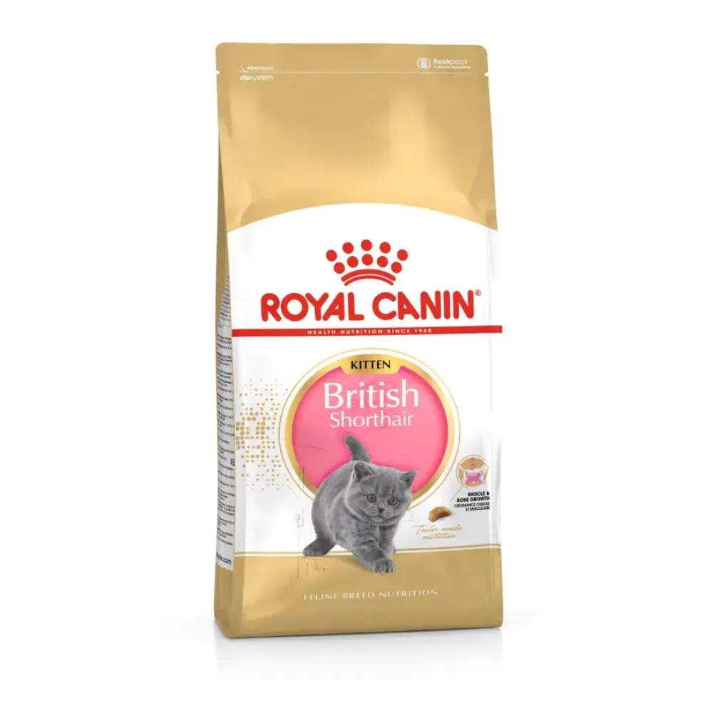 Royal Canin British Shorthair Kitten Yavru Kedi Maması