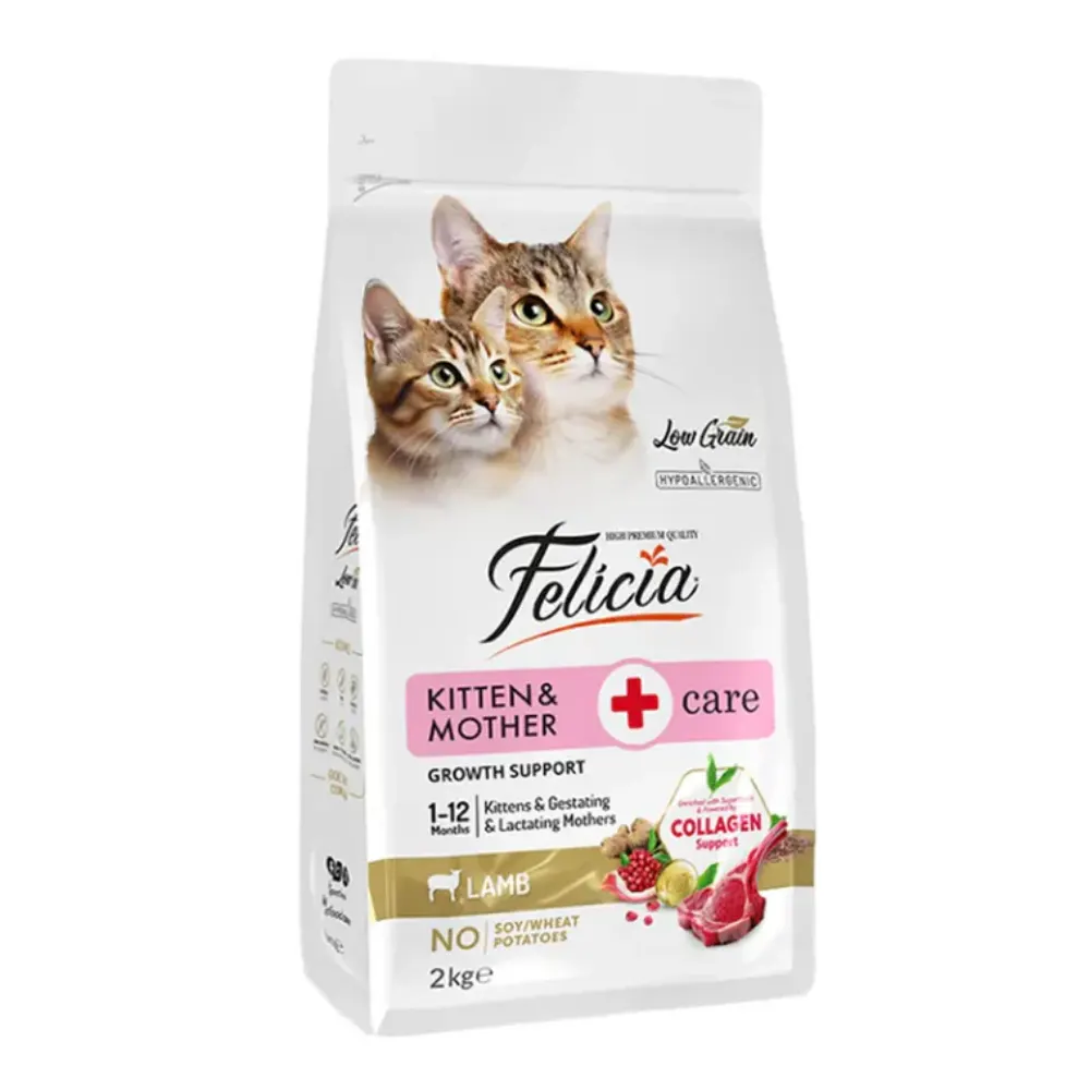 Felicia Kolajen Destekli Kitten Mother Anne Ve Yavru Kedi Maması Kuzulu