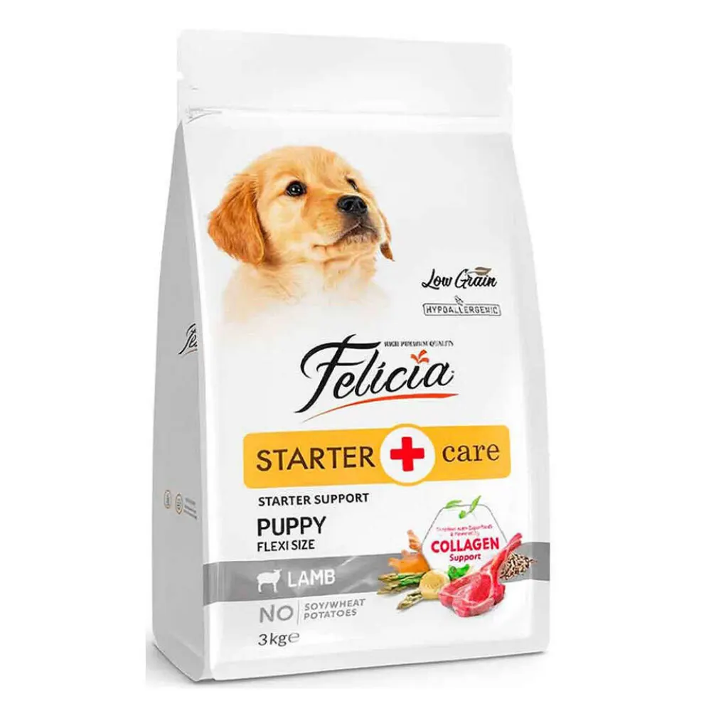 Felicia Starter Care Puppy Yavru Köpek Maması Kuzu Etli 3 Kg
