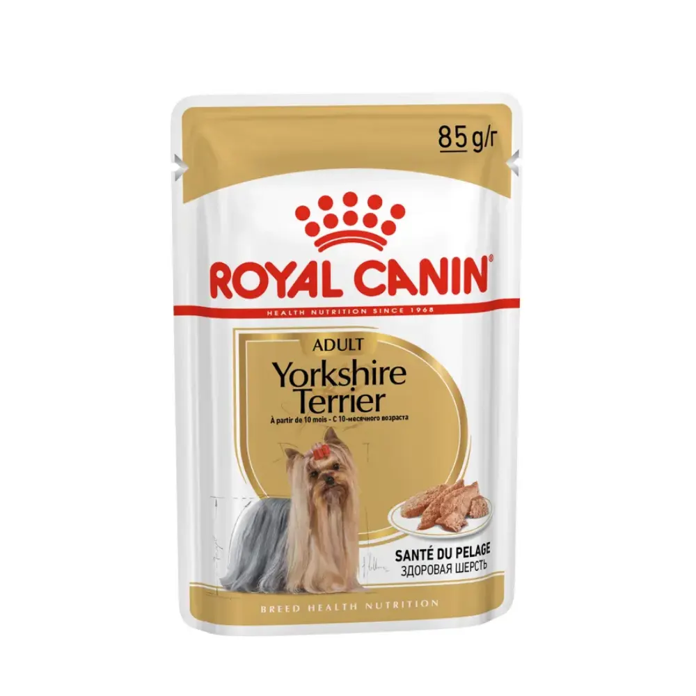 Royal Canin Yorkshire Terrier Yetişkin Köpek Yaş Maması