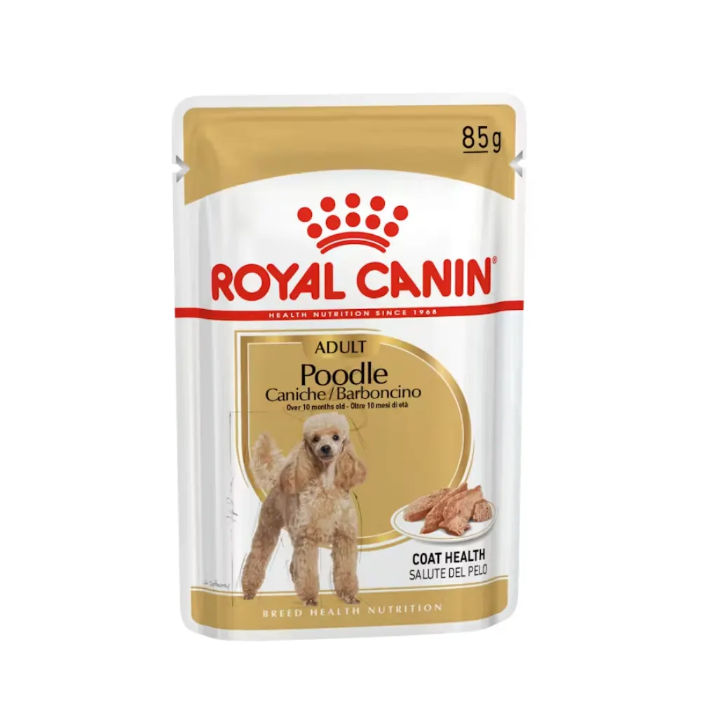 Royal Canin Poodle Yetişkin Köpek Yaş Maması