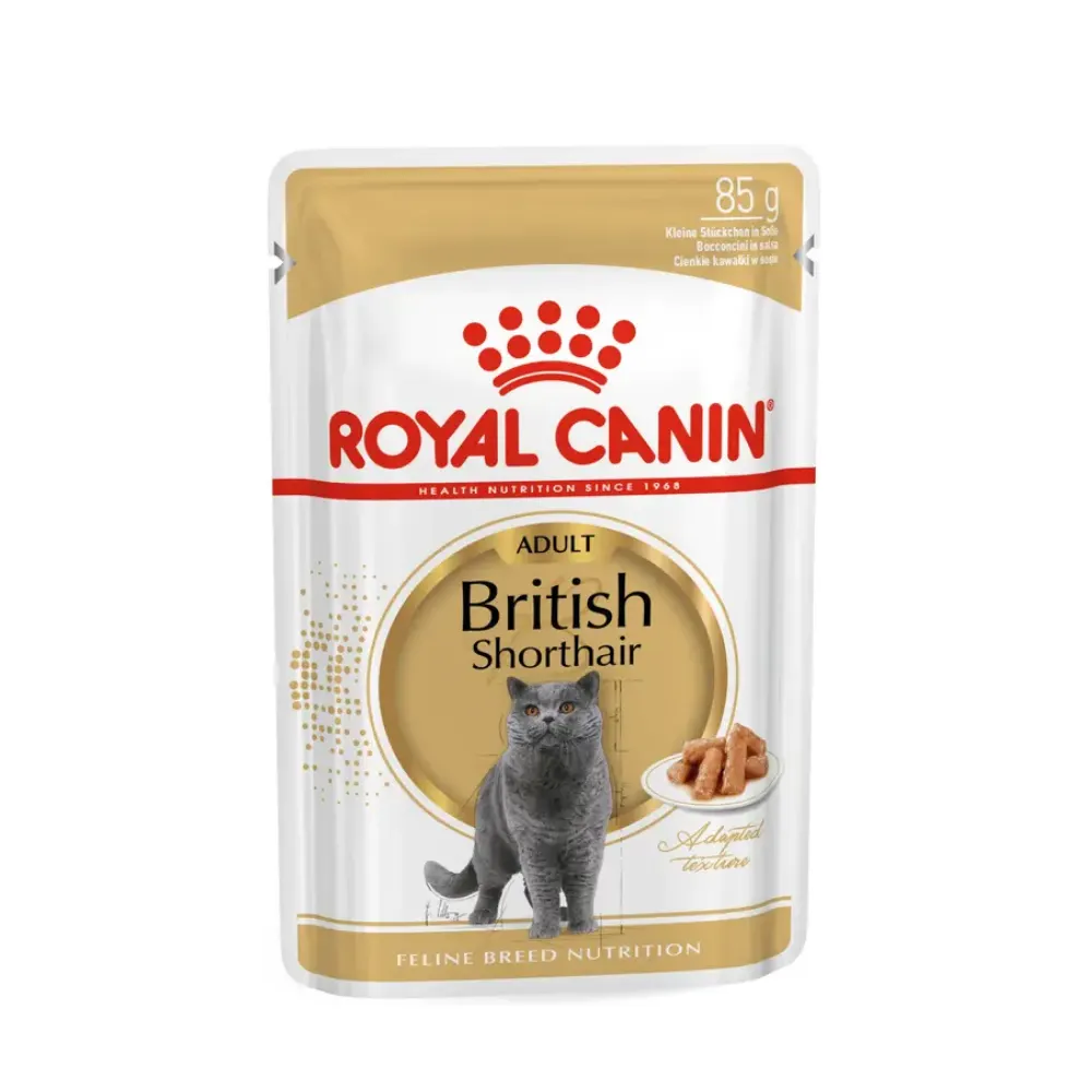 Royal Canin British Shorthair Yetişkin Kedi Yaş Maması