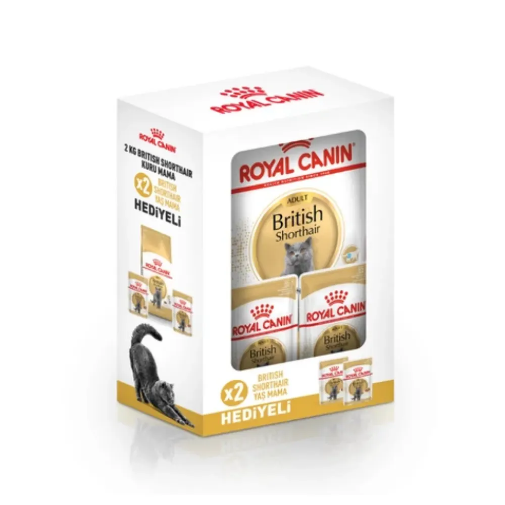Royal Canin British Shorthair Yetişkin Kedi Maması 2 Kg Yaş Mama Hediyeli