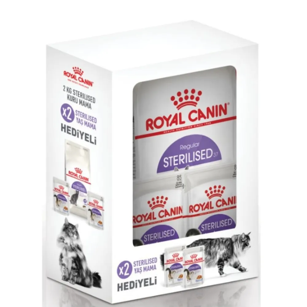 Royal Canin Sterilised37 Kısırlaştırılmış Kedi Maması 2 Kg Yaş Mama Hediyeli