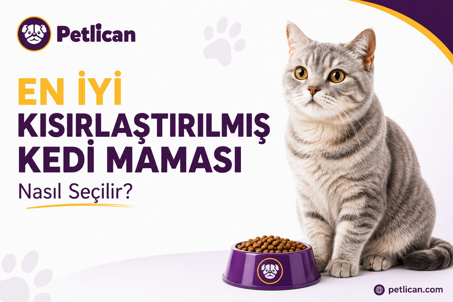 En İyi Kısırlaştırılmış Kedi Maması Nasıl Seçilir?