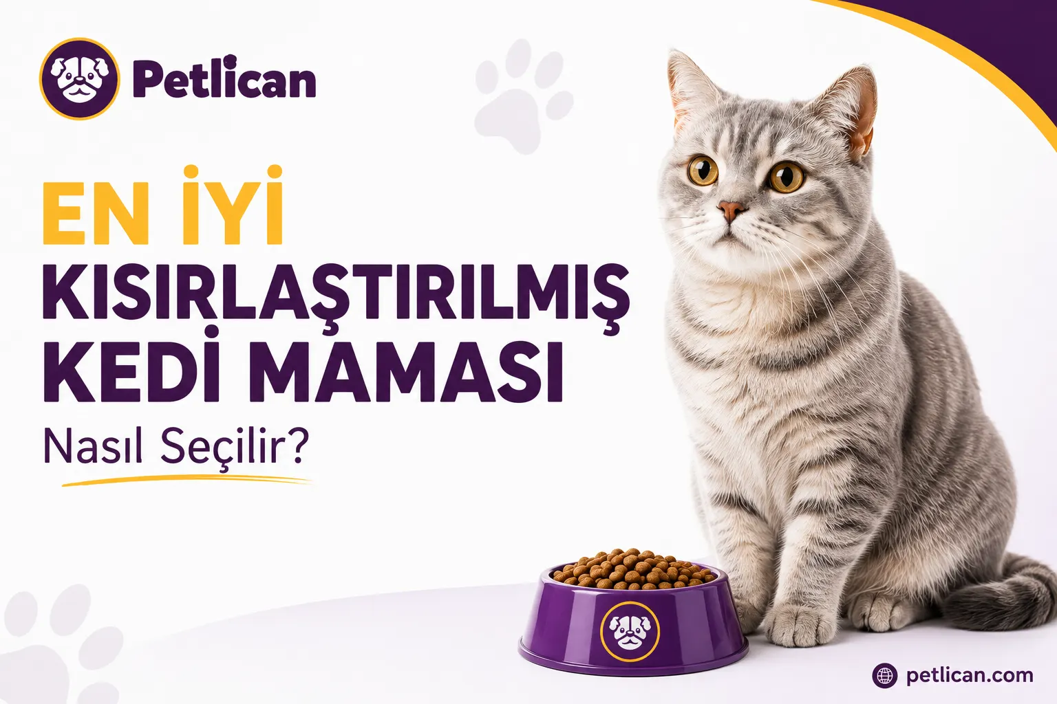 En İyi Kısırlaştırılmış Kedi Maması Nasıl Seçilir?