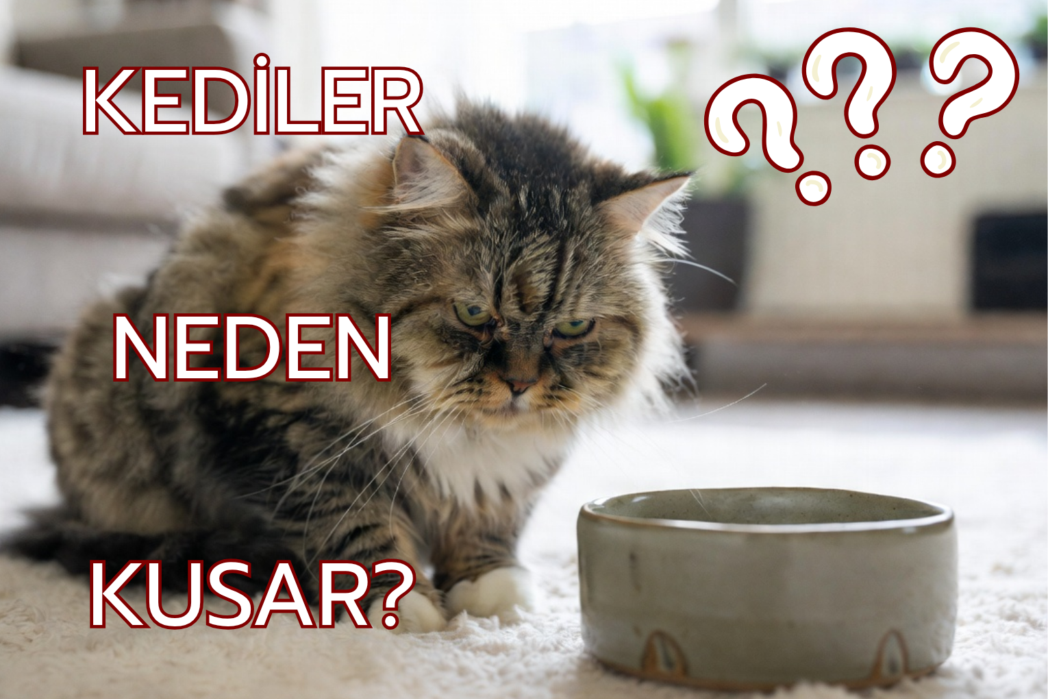 Kediler Neden Kusar?