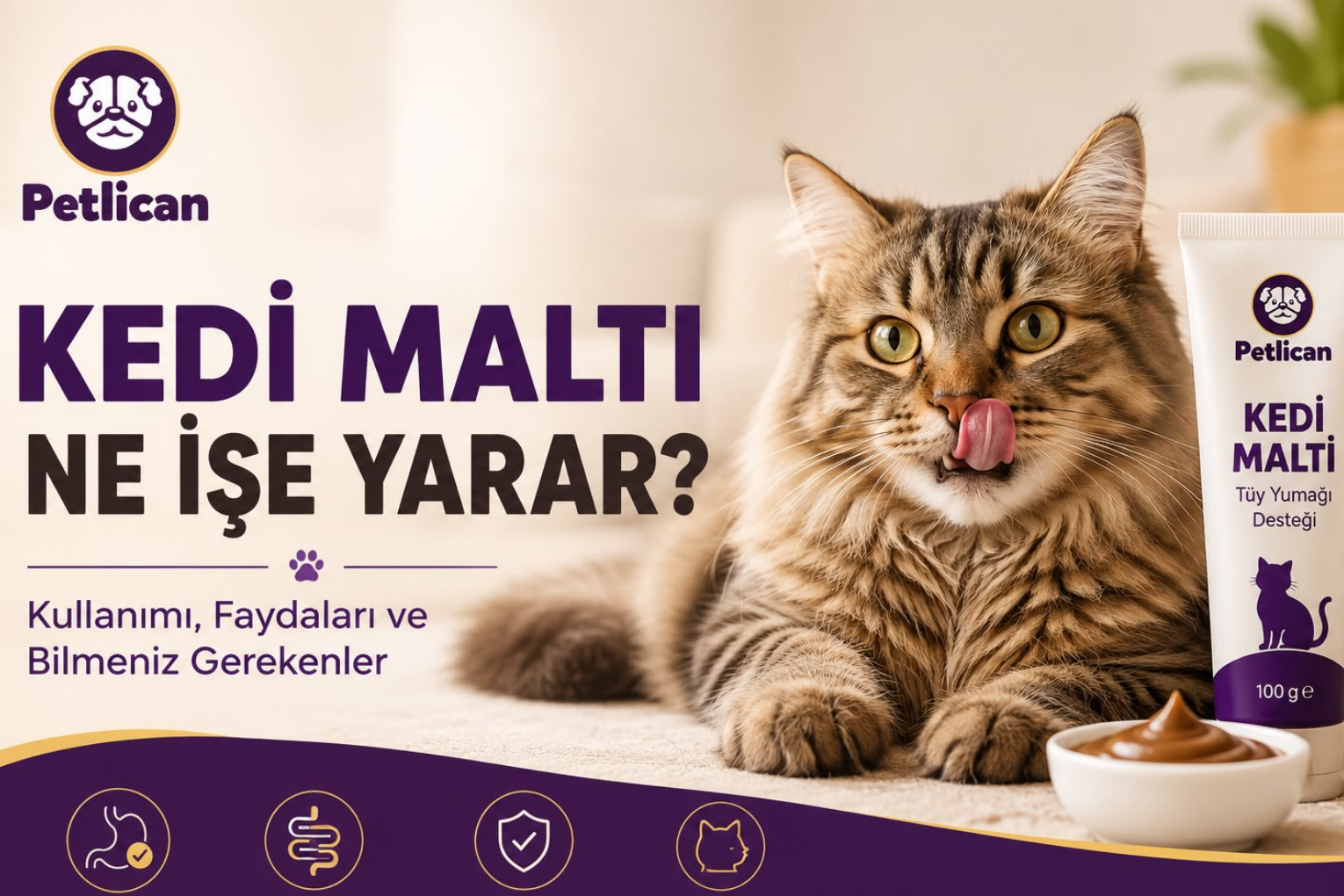 Kedi Maltı Ne İşe Yarar? Faydaları ve Kullanımı Nasıl Olur?